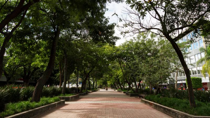 Descubra o Passeio Público: a praça mais antiga de Fortaleza